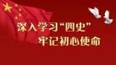 《铭记历史坚守初心，四史学习辅导》